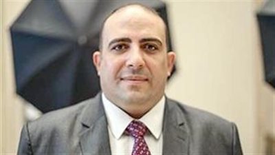 برلماني: مصر تعود بقوة لإفريقيا والقاهرة شريك رئيسي فى دعم استقرار القارة السمراء