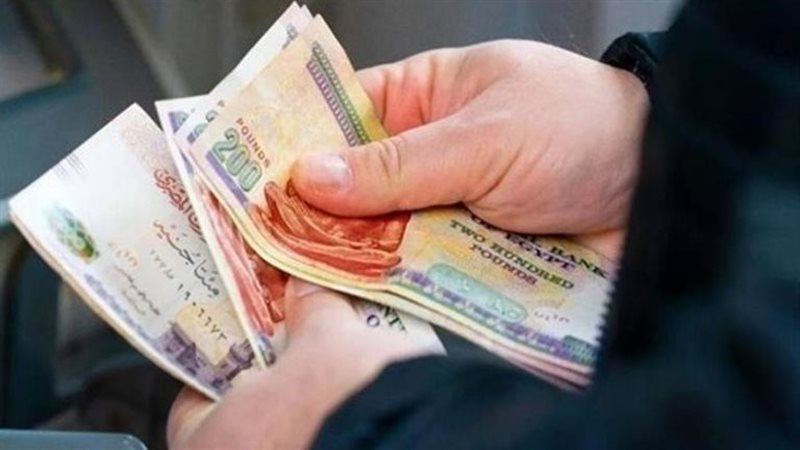 المالية 