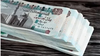 برلماني : زيادة الأجور خطوة مهمة لتخفيف الأعباء ودعم الاستقرار المعيشي