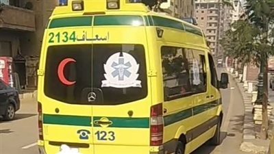 مصرع «رضيع» فى انقلاب سيارة على الصحراوى الغربي بالمنيا