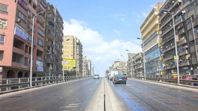 للقضاء على النباشين والكلاب الضالة.. الدقي تبدأ تنفيذ منظومة الصندوق المدفون 