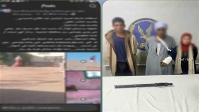 سلاح أبيض وكلب فى مشاجرة دامية بالإسكندرية.. وهذه عقوبة الجريمة بالقانون