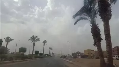  ارتفاع في درجات الحرارة الأسبوع المقبل مع نشاط رياحي مثير 