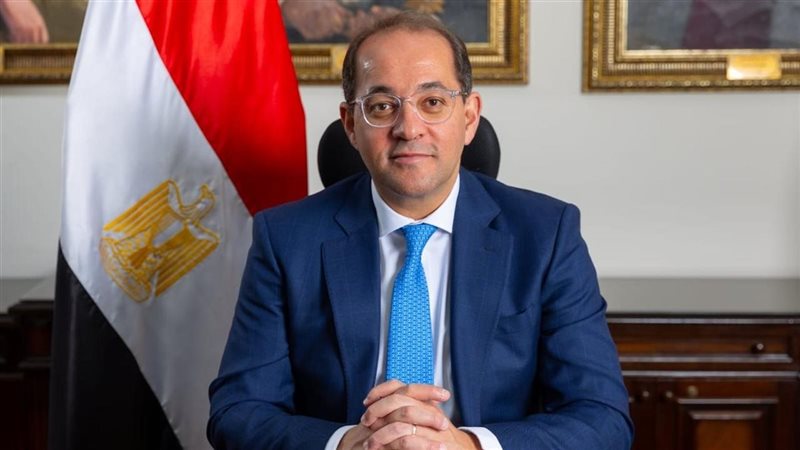 وزير المالية