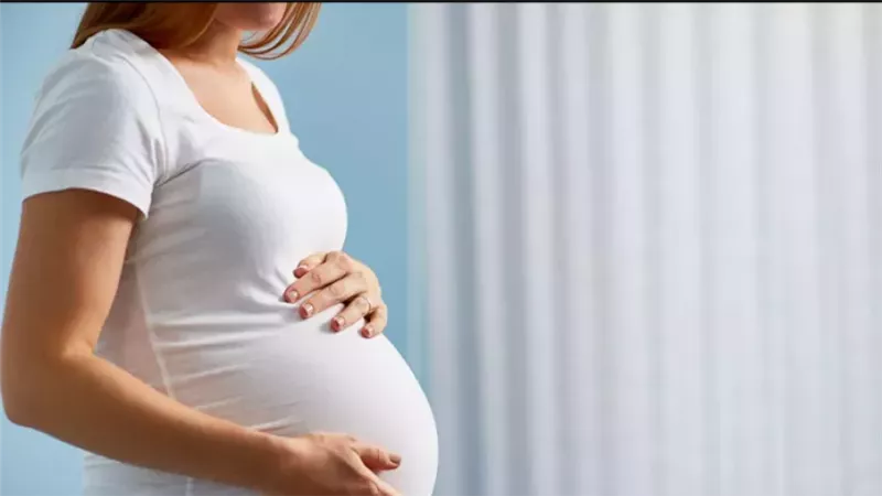 الذكاء الاصطناعي والحمل 