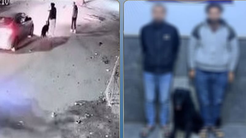 المتهمين 