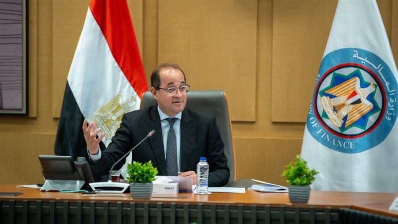 وزير المالية