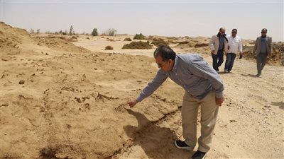رئيس جامعة قنا يتفقد المزارع الخارجية.. ويؤكد أهمية تطوير منظومة الإدارة