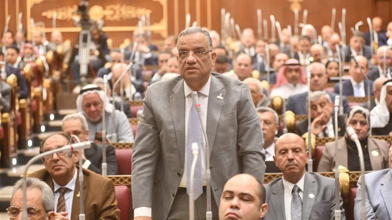 النائب محمود مسلم، عضو مجلس الشيوخ 