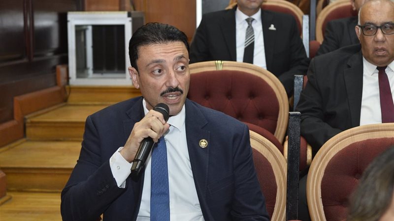 النائب محمد رزق خلال مناقشة المقترح