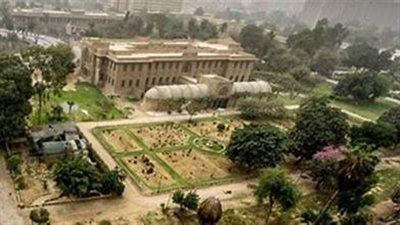 من قلب الدقي.. مشروع يحول الحي الراقي لمنصة للمشاتل والإبداع الزراعي