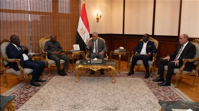 مصر وأفريقيا الوسطى تتجهان نحو شراكة صناعية شاملة في مجالات التعدين والزراعة والدفاع