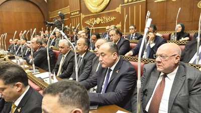 نائب: مصر قلب استقرار الشرق الأوسط ومحرك رئيسي لوقف التصعيد