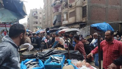 محافظ الدقهلية يوجه بالتشديد علي رفع كافة الإشغالات التي تعوق حركة المرور والسير