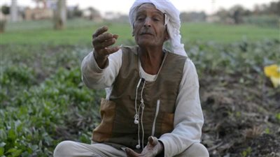 من الحقول إلى الرقمنة.. تحول خفي يعيد تشكيل الزراعة المصرية