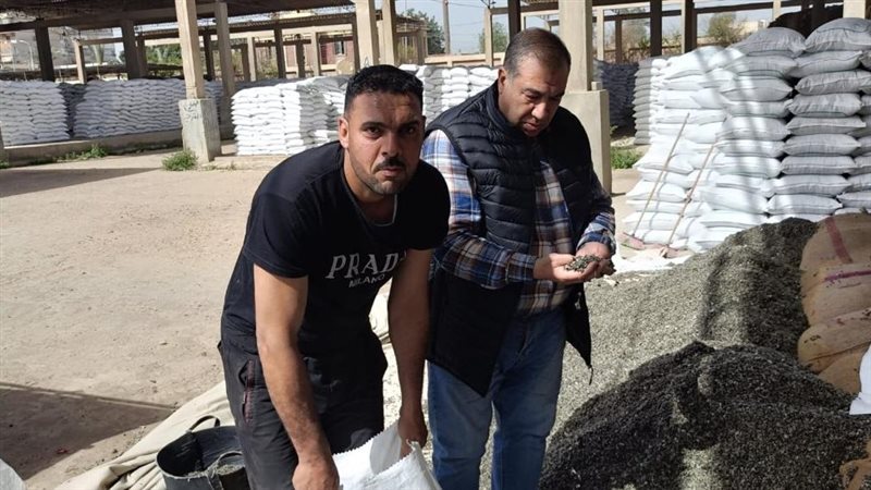 الزراعة 