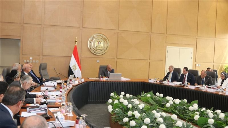 وزير الكهرباء 
