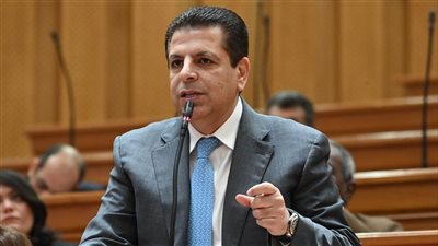 برلماني: العداد الكودي أداة للحفاظ على الكهرباء وتقليل الفاقد من الشبكة