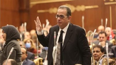 عضو بالشيوخ: تطوير العنصر البشري مفتاح تحسين صورة المطارات المصرية