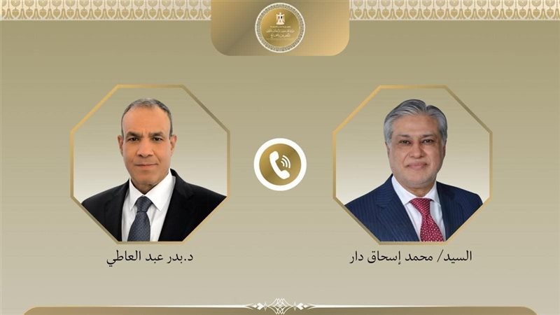 وزير الخارجية المصري ونظيره الباكستاني 
