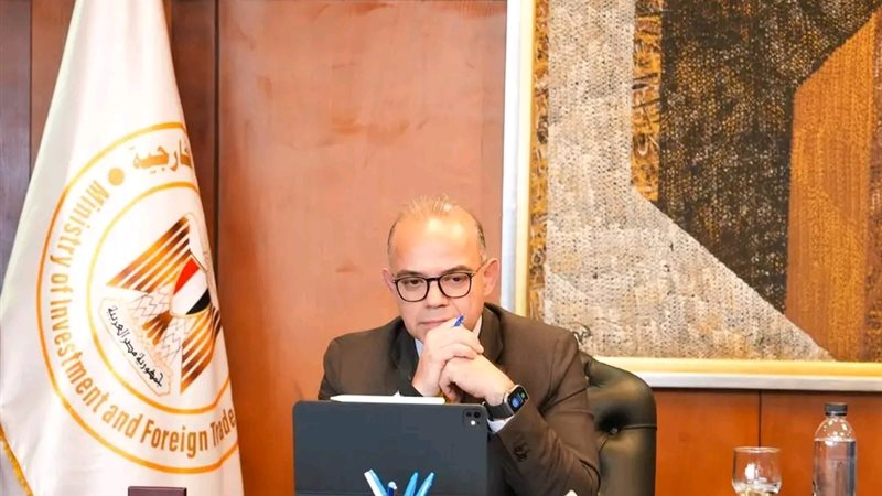 وزير الاستثمار 