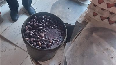 محافظ الدقهلية: لجنة خماسية للتفتيش علي المحال للتأكد من سلامة السلع الغذائية وصلاحيتها