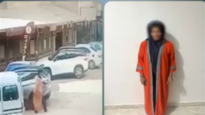 مهتزة نفسيا.. ضبط سيدة كسرت فانوس سيارة بالبحر الأحمر