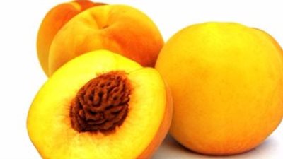 كيف غيّرت الحملة الفرنسية سلة الفواكه المصرية إلى الأبد؟