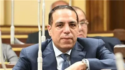 الصافي عبدالعال: توجيهات السيسي بشأن المخزون الاستراتيجي تدعم استقرار الاقتصاد