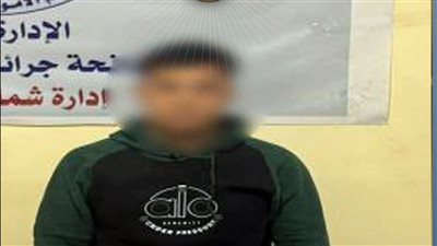 سقوط محتال“خدمة العملاء الوهمي” في المنيا..استولى على أموال الضحايا بحيلة تحديث البيانات 