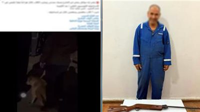وضعت جارته الطعام للكلاب الضالة أمام المنزل فاطلق عليهم النار بالإسماعيلية 