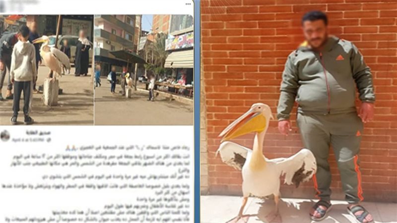 المتهم 