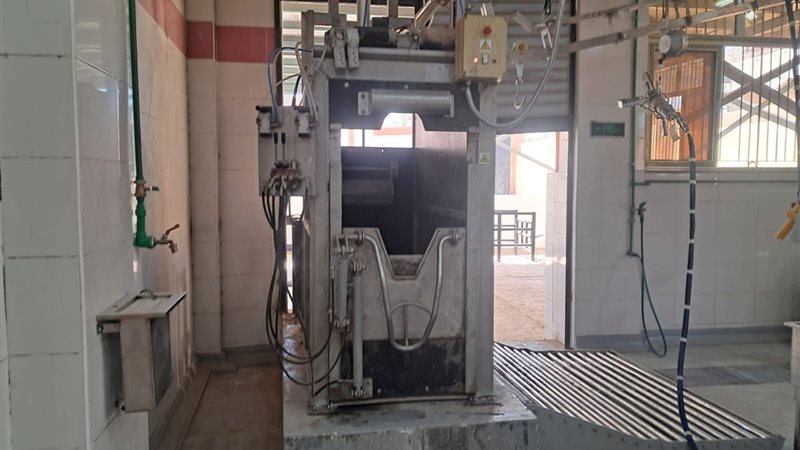 المجزر