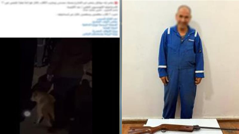 المتهم 