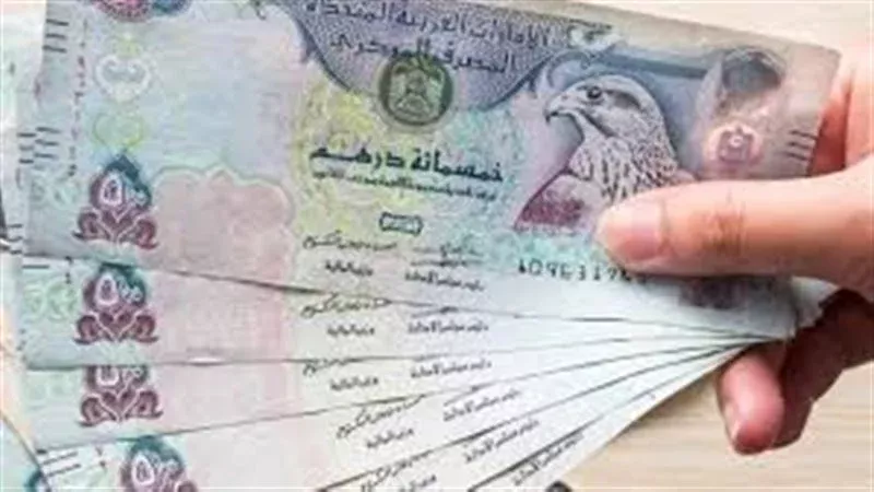 الدرهم الاماراتي