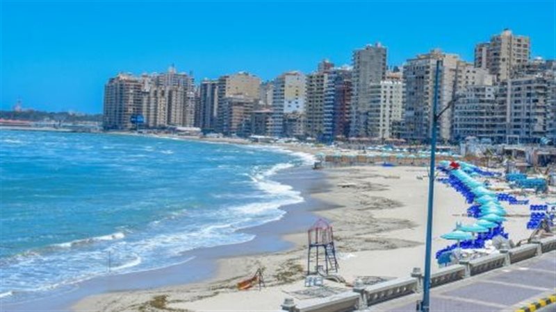  الإسكندرية 