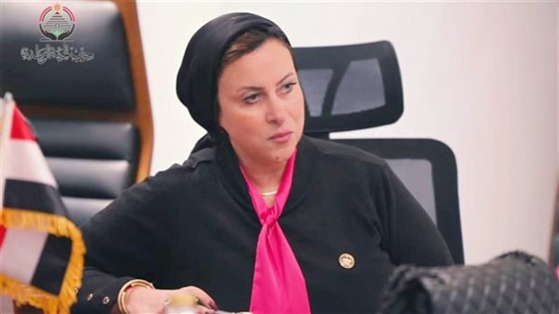 النائبة داليا سعد