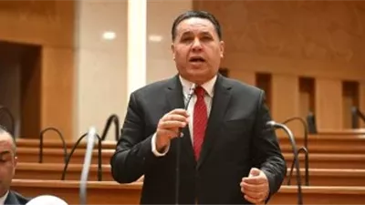 برلماني: تأخر تعيين أوائل الخريجين وحملة الدراسات العليا إهدار للكفاءات