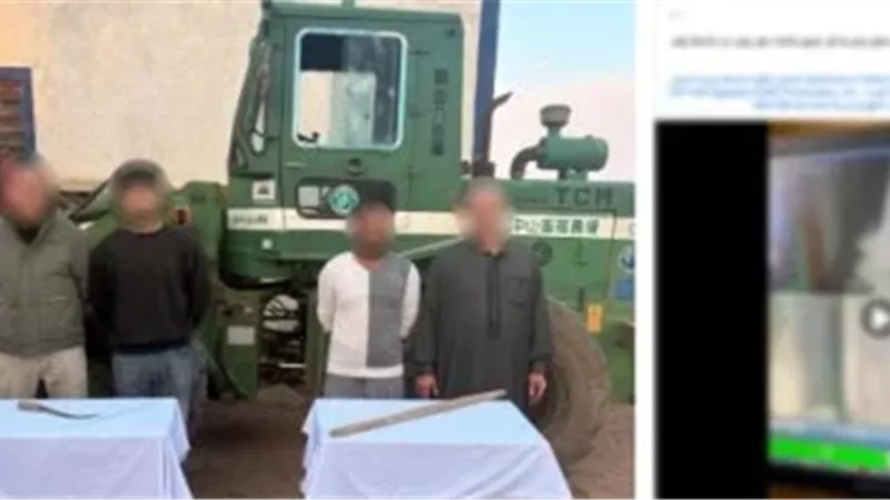 الربؤء