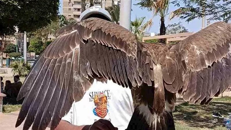 جانب من الاحتفالات