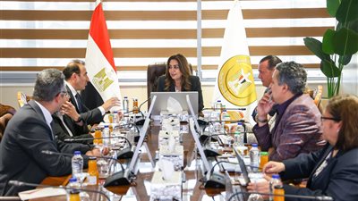 «التنمية المحلية» و«الأمم المتحدة الإنمائي» يستعرضان مشروعات الصعيد وخطط المستقبل