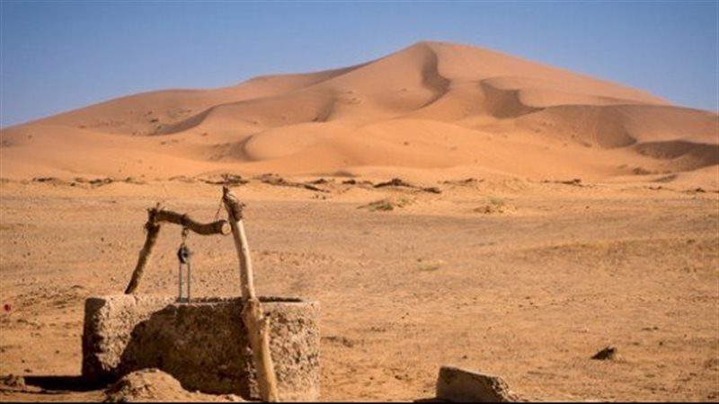 ارشيفية