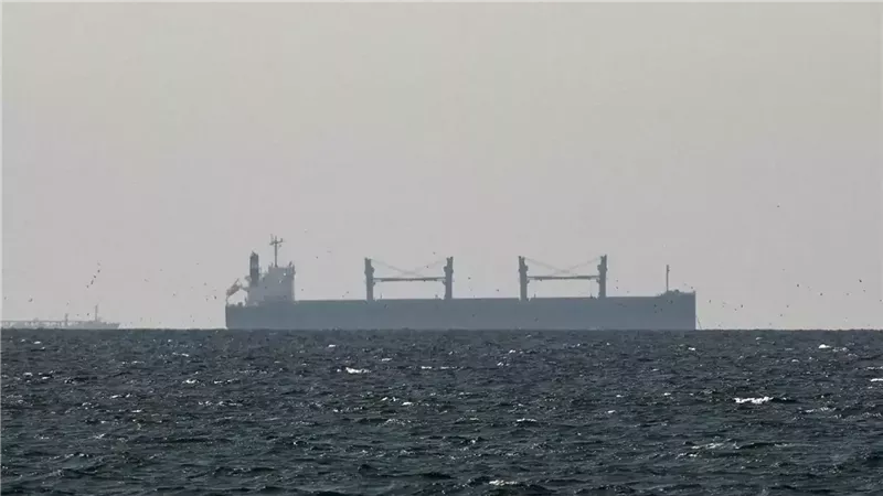 سفينة شحن في الخليج العربي، بالقرب من مضيق هرمز