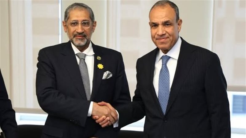 وزير الخارجية يلتقي رئيس المصرف العربي 