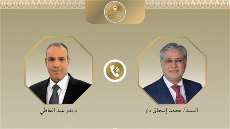 وزيرا الخارجية المصري والباكستاني 