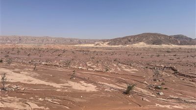 وزير الزراعة يوجه بتقديم الدعم لمتضرري السيول بتجمع 
