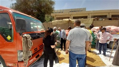 توريد 387 طنًا و28 موقعًا جاهزة لاستقبال محصول القمح باسيوط