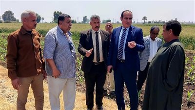 «الزراعة» تكثف المتابعة الميدانية لحصاد وتوريد القمح وتحيل مخالفات للنيابة في المنيا وقنا
