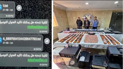 سقوط أخطرعصابة للنصب الإلكتروني..استولى على أموال المواطنين عبر“روابط مزيفة”
