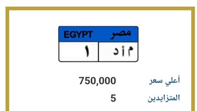 750 ألف جنيه أعلى سعر للوحة «م ا د 1» قبل غلق المزاد